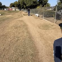Kroll Dog Park photo 2